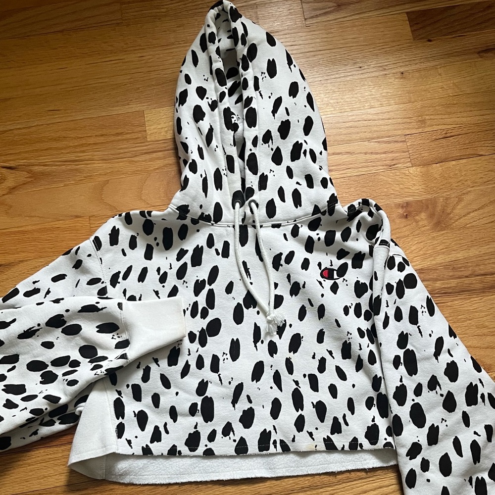 Champion cropped hoodie